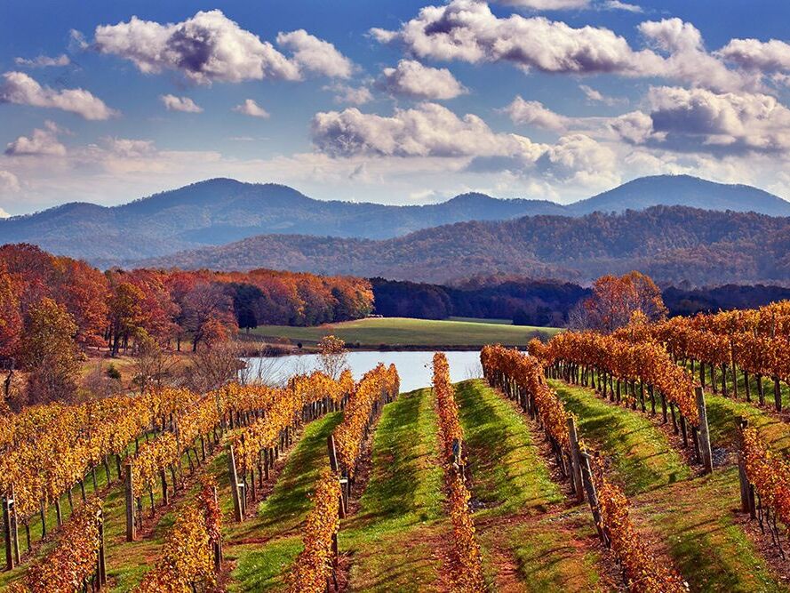 Picture of Wineries, Breweries, & Cideries