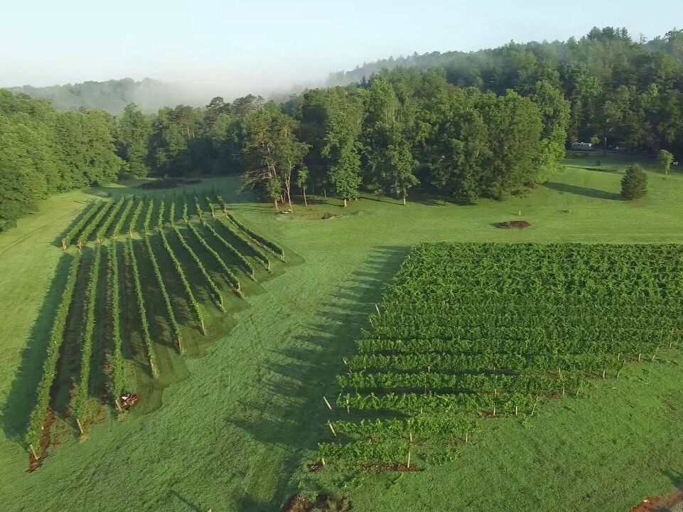 Picture of Wineries