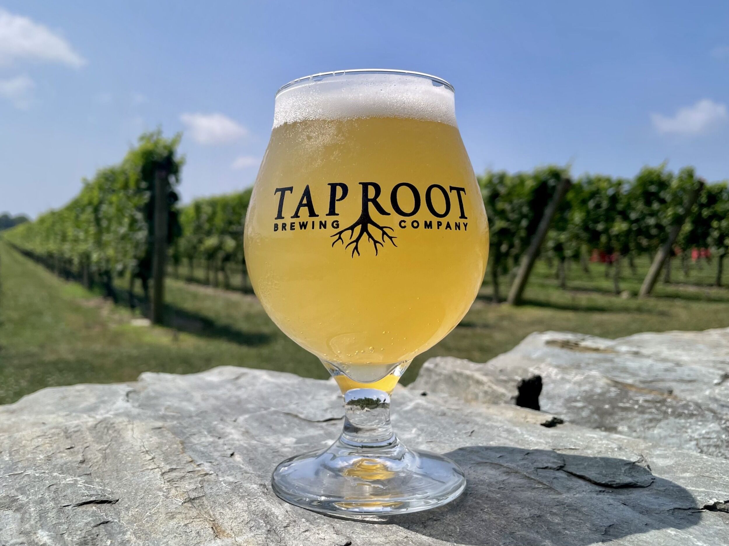 Picture of Taproot Brewing Co.