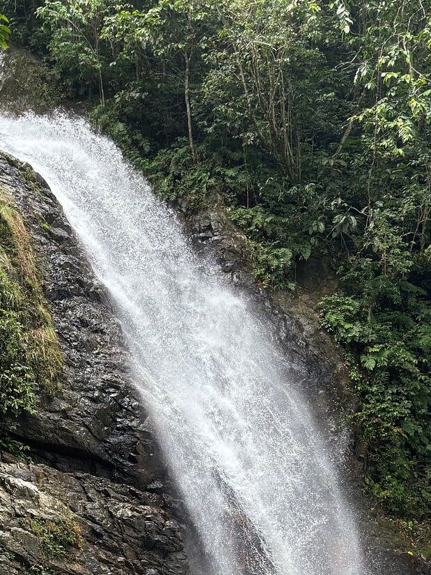 Picture of Biausevu Waterfall