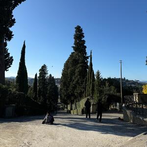 Gallery Photo 16