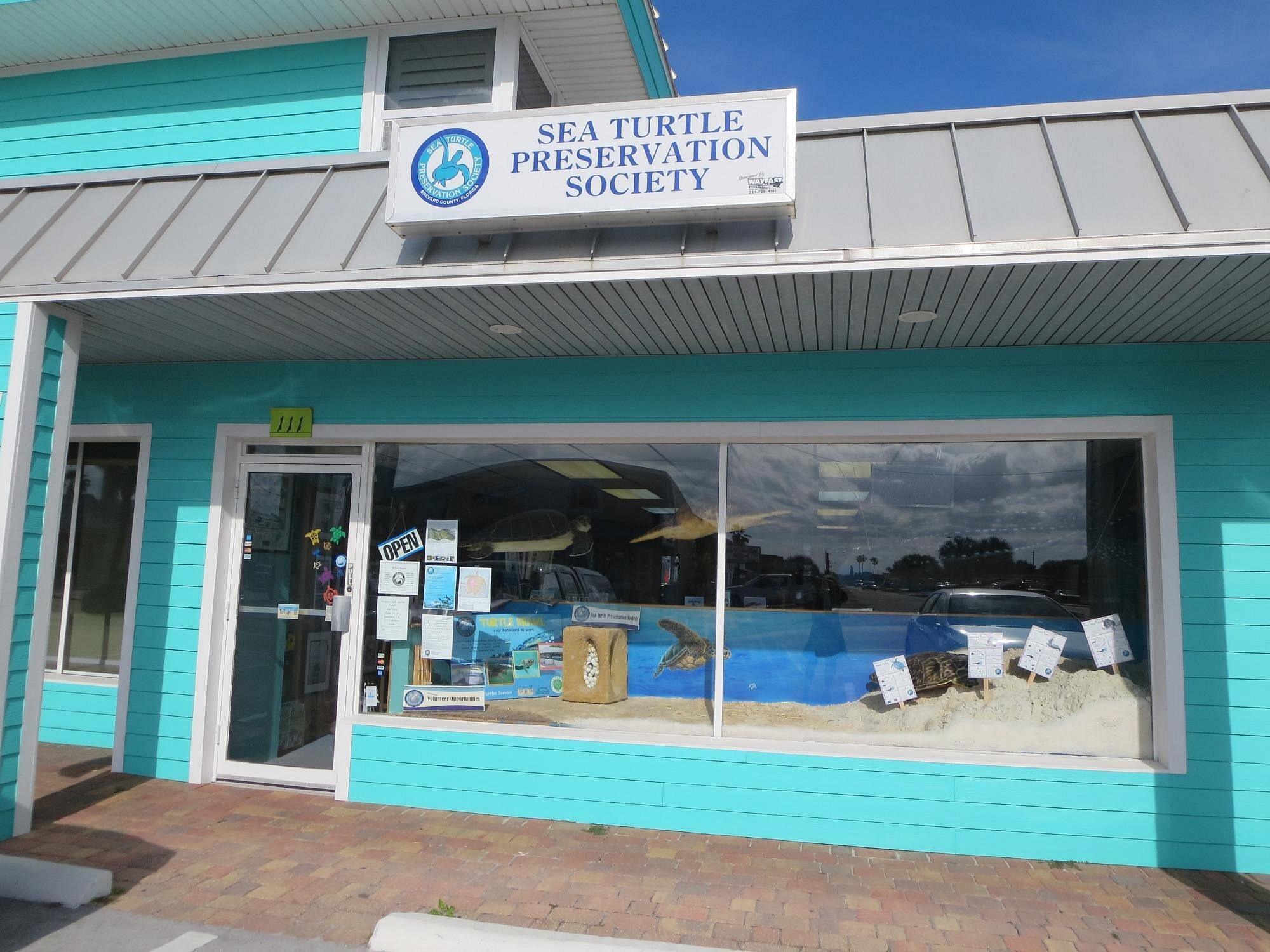 Picture of Sea Turtle Preservation Society