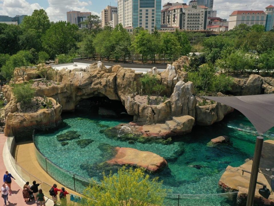 Picture of Houston Zoo