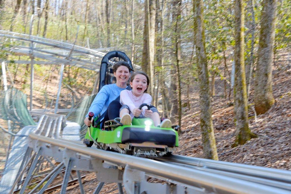 Picture of Georgia Mountain Coaster