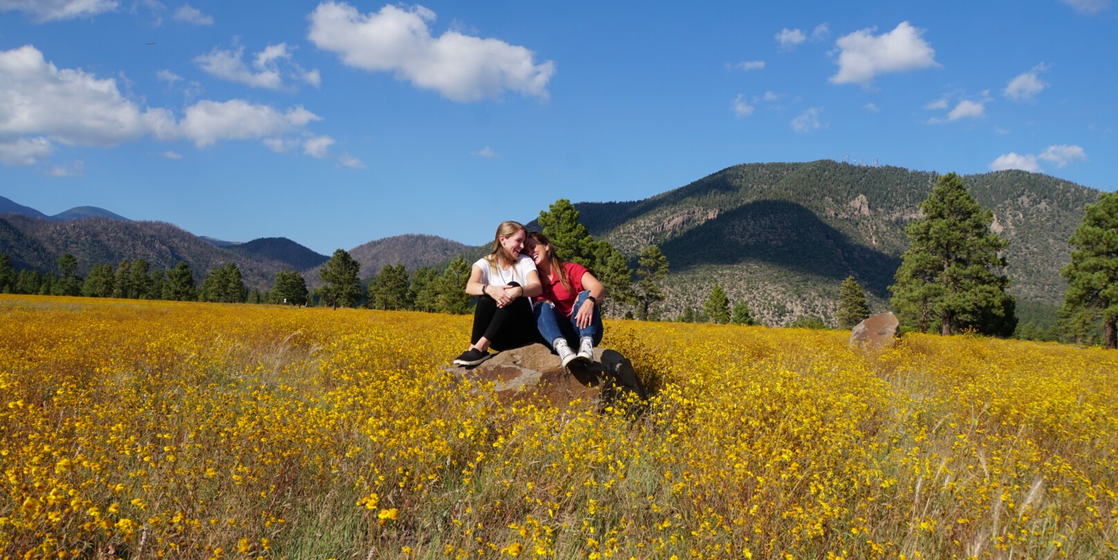 Laura & Ali Home Page Banner