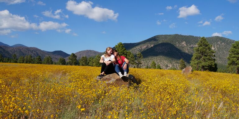 Laura & Ali Home Page Banner