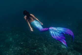 mermaid bachelorette party