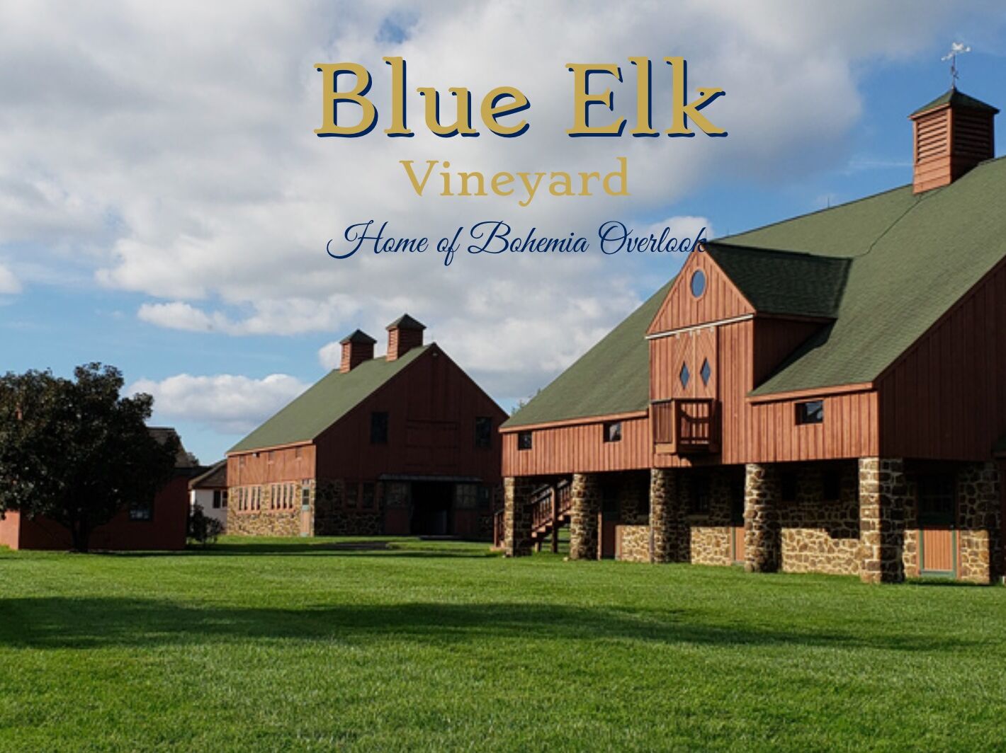 Picture of Blue Elk Vineyard
