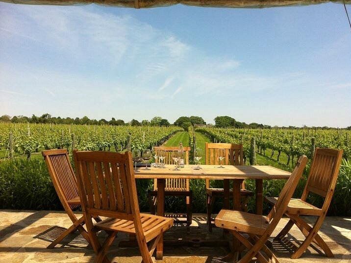 Picture of Wölffer Estate Vineyard