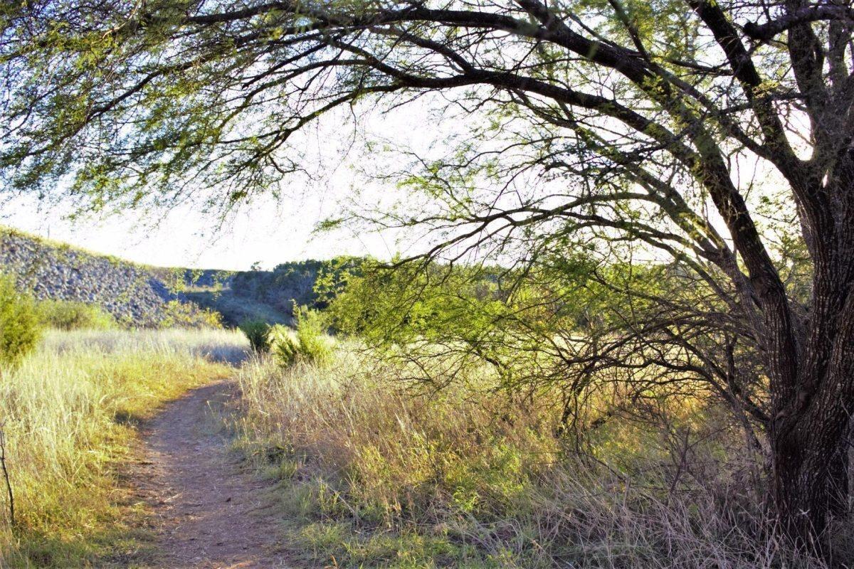 Picture of San Marcos Trails