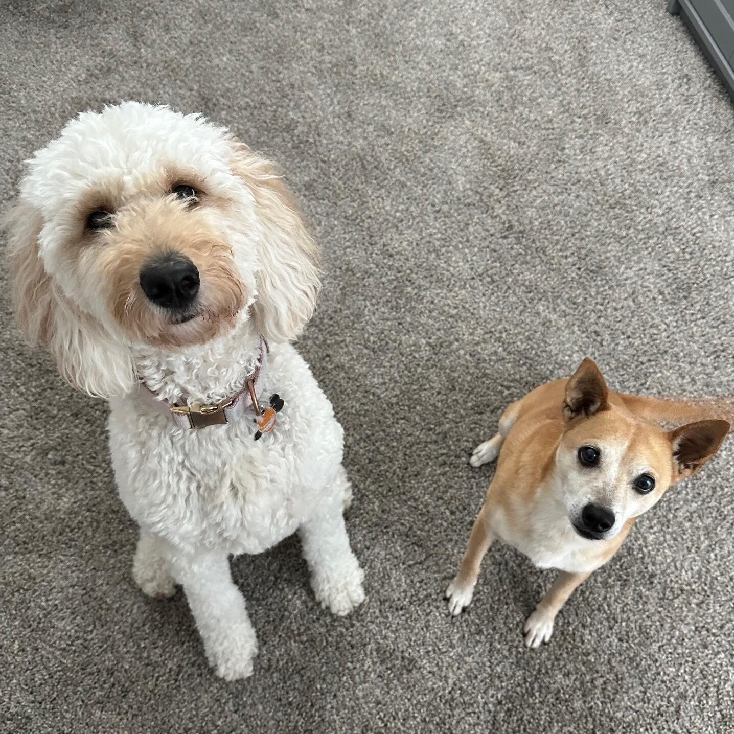 Mitch and Kaiah