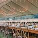 Warm and Inviting Reception Underneath A Tent Adorned With String Lights