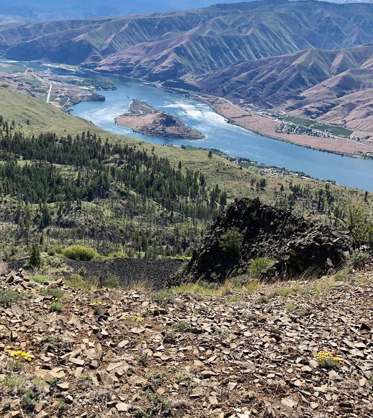 Picture of Quaking Aspen Springs 