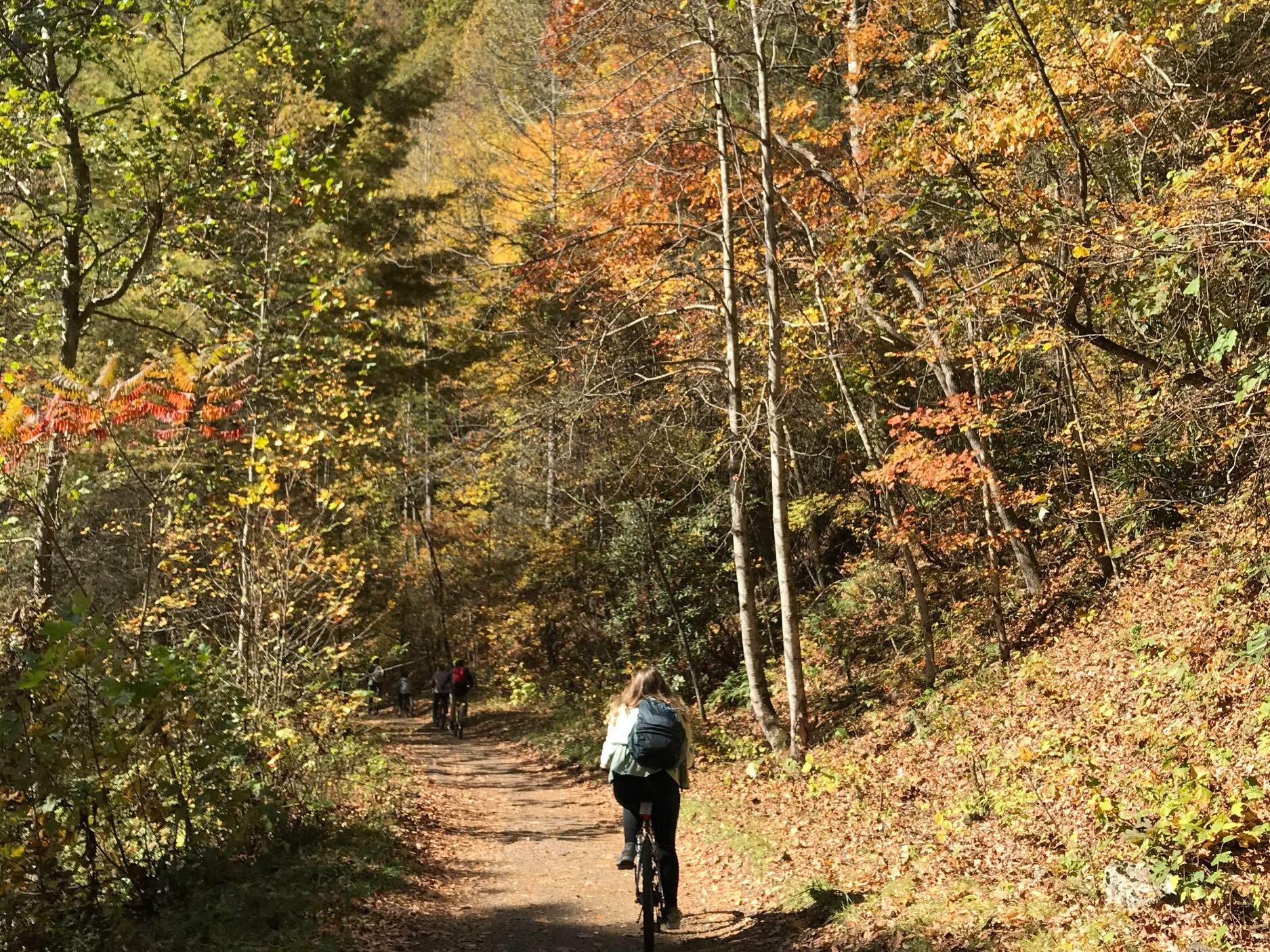 Picture of Virginia Creeper Trail