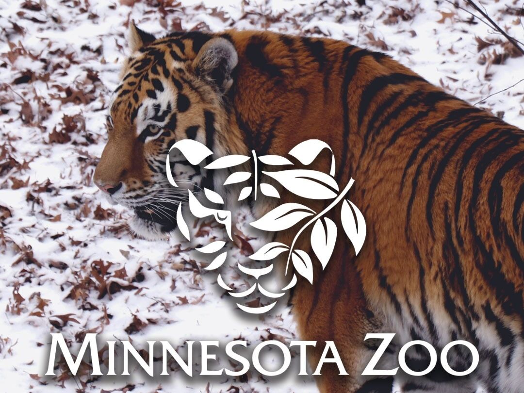 Picture of Minnesota Zoo