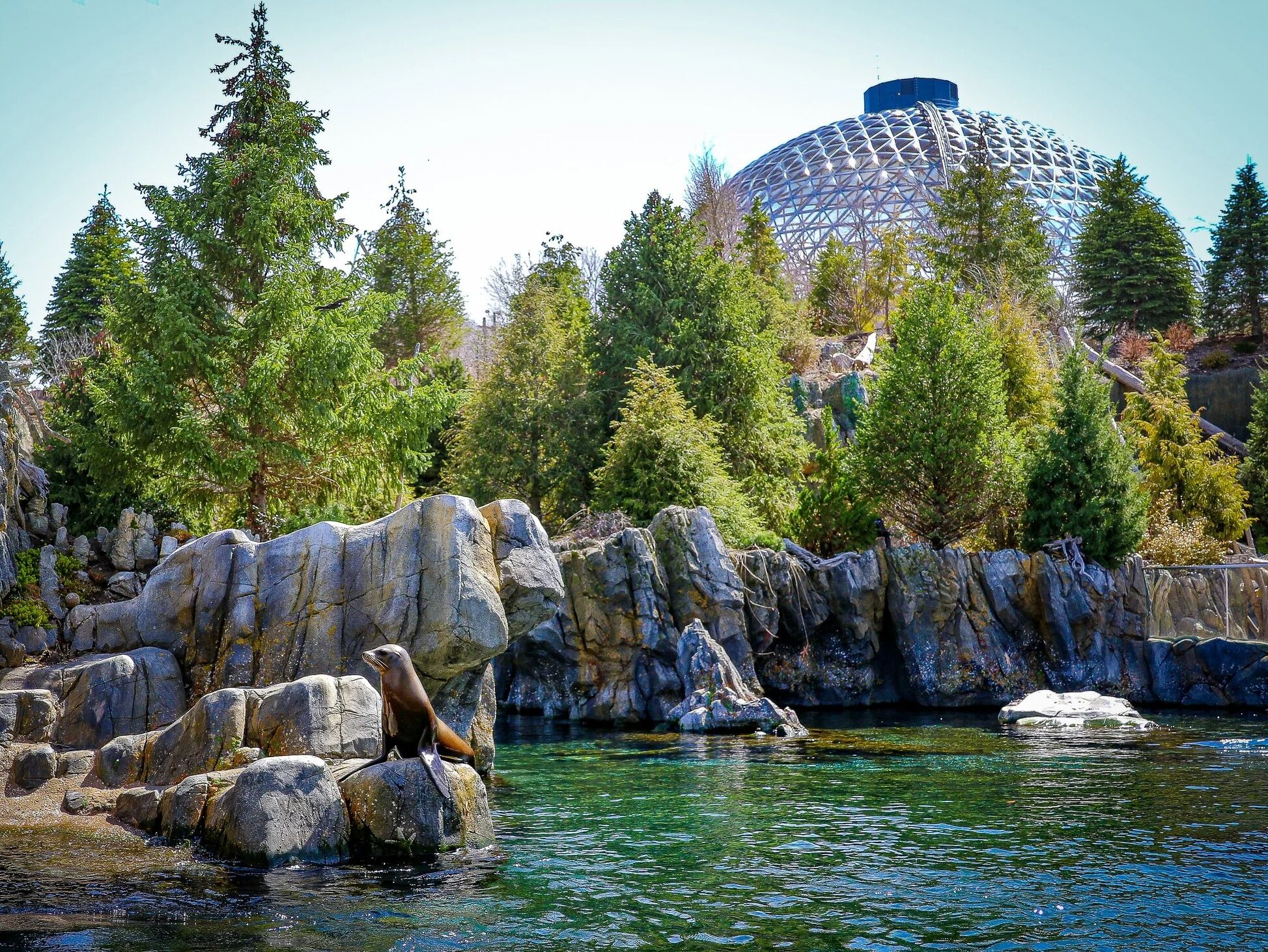 Picture of Omaha's Henry Doorly Zoo and Aquarium