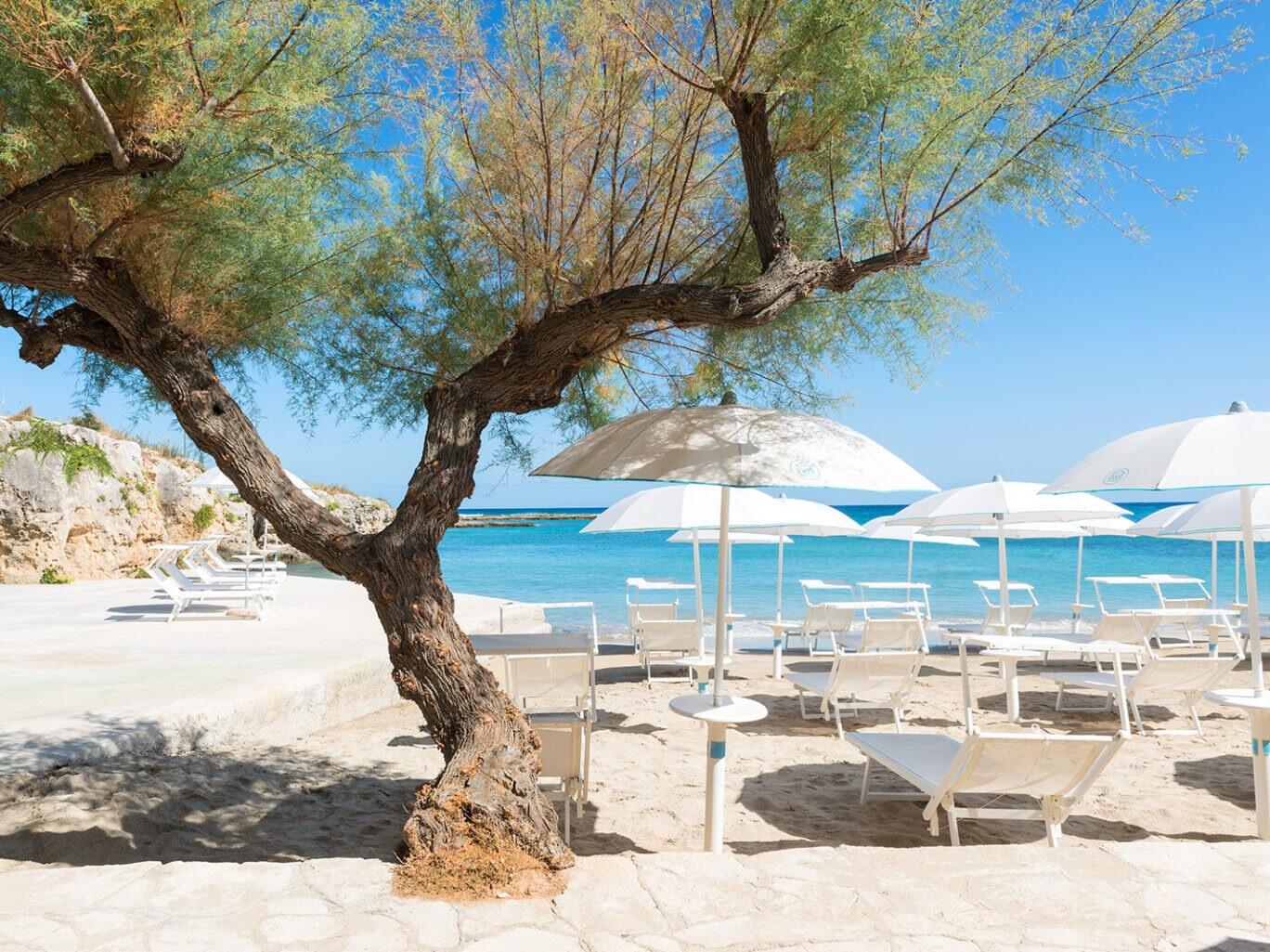 Picture of Beach Clubs