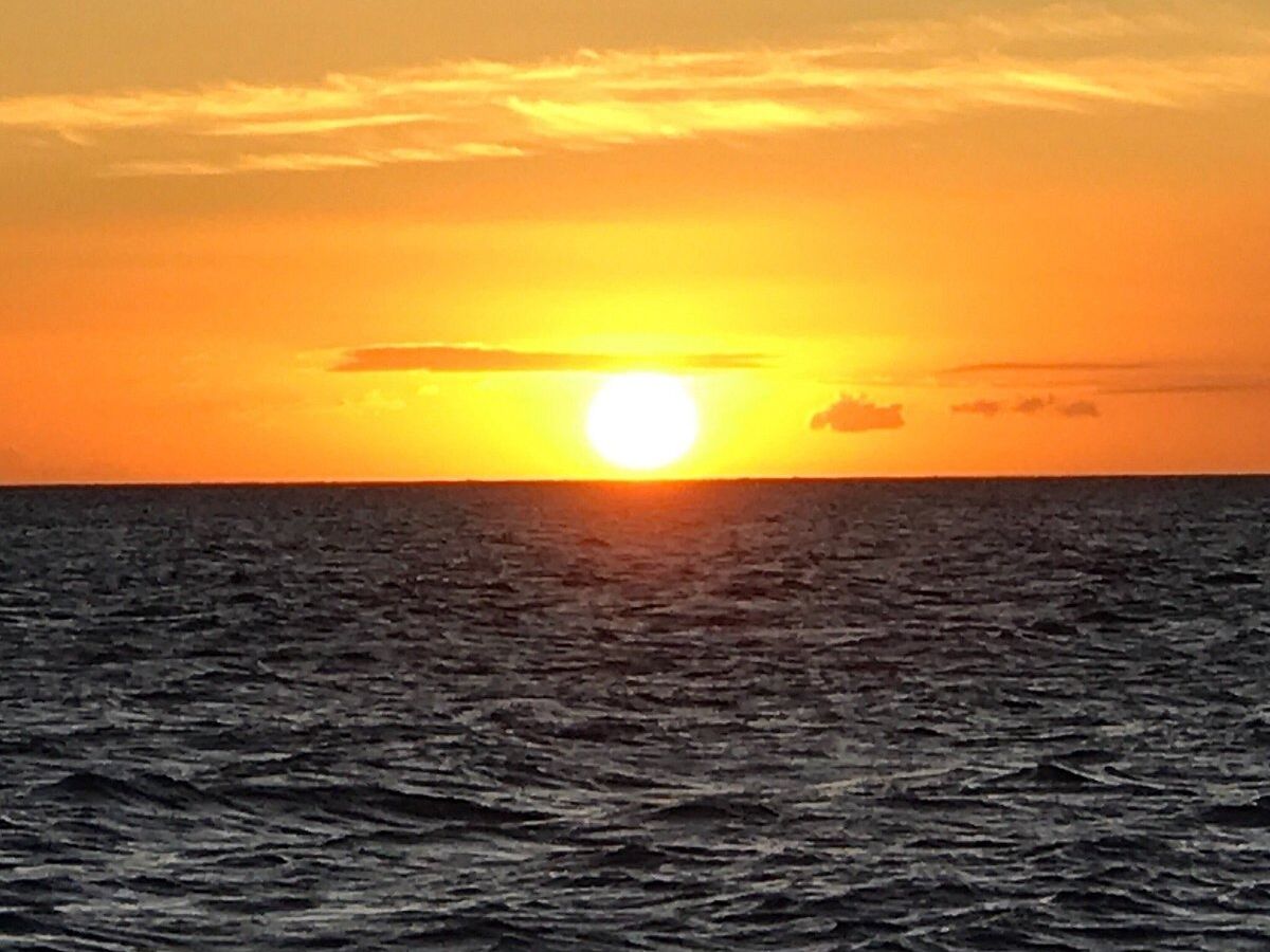 Picture of Pride of Maui