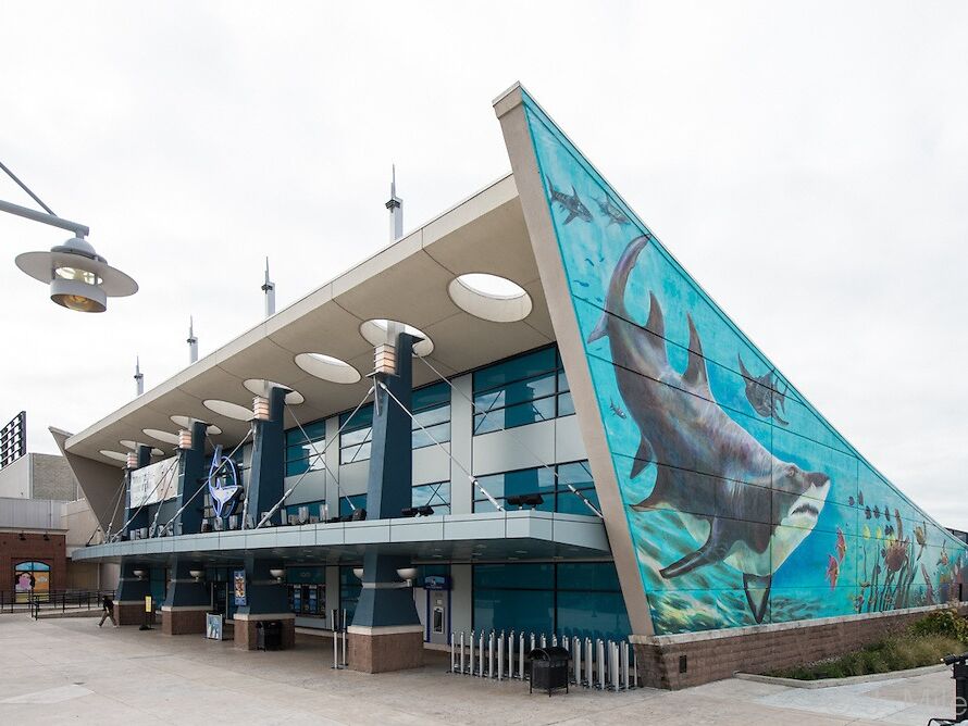 Picture of Newport Aquarium