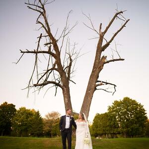 Gallery Photo 58