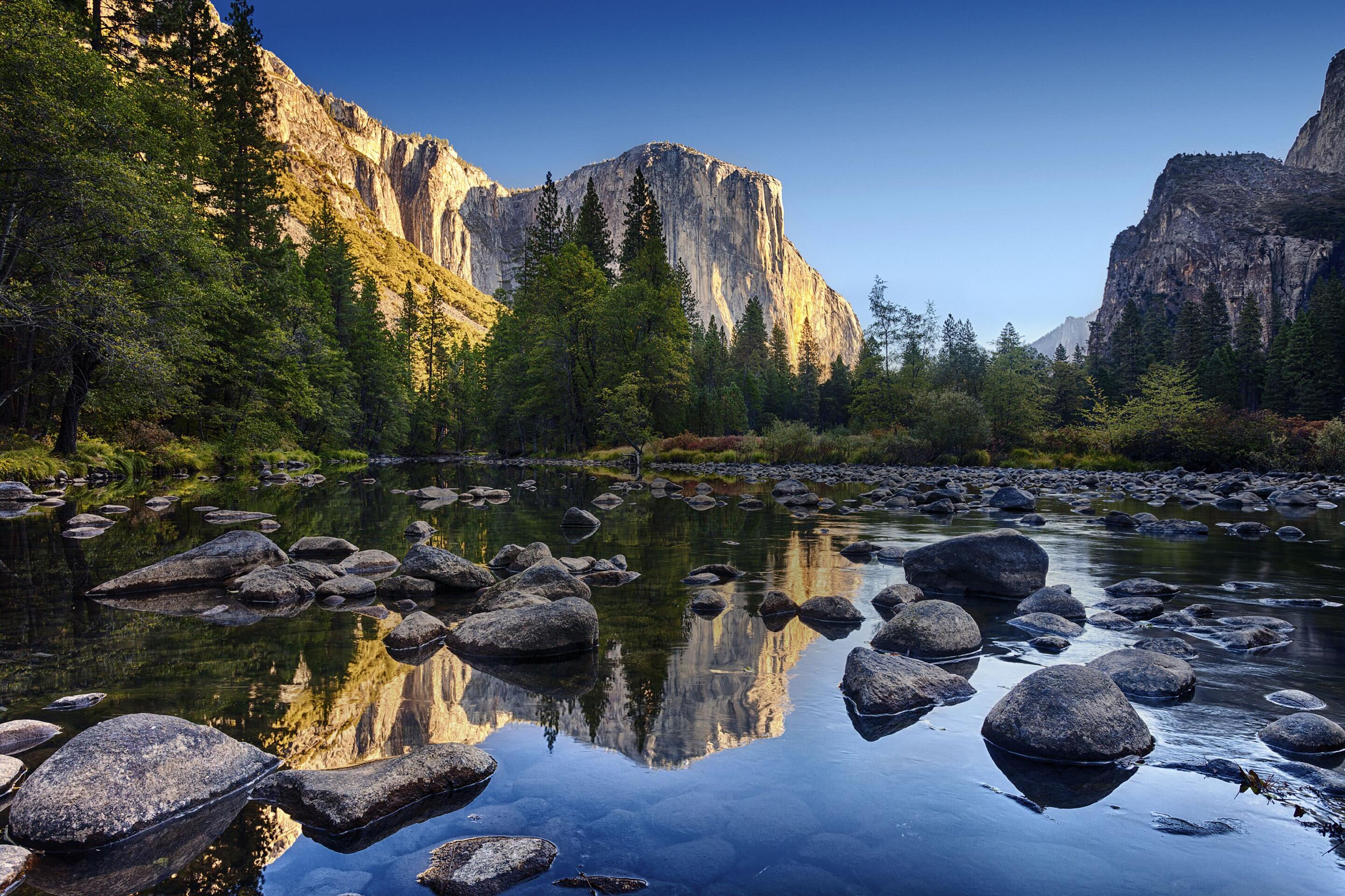 Picture of Yosemite National Park