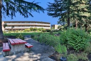 Picture of Riverfront Inn Roseburg