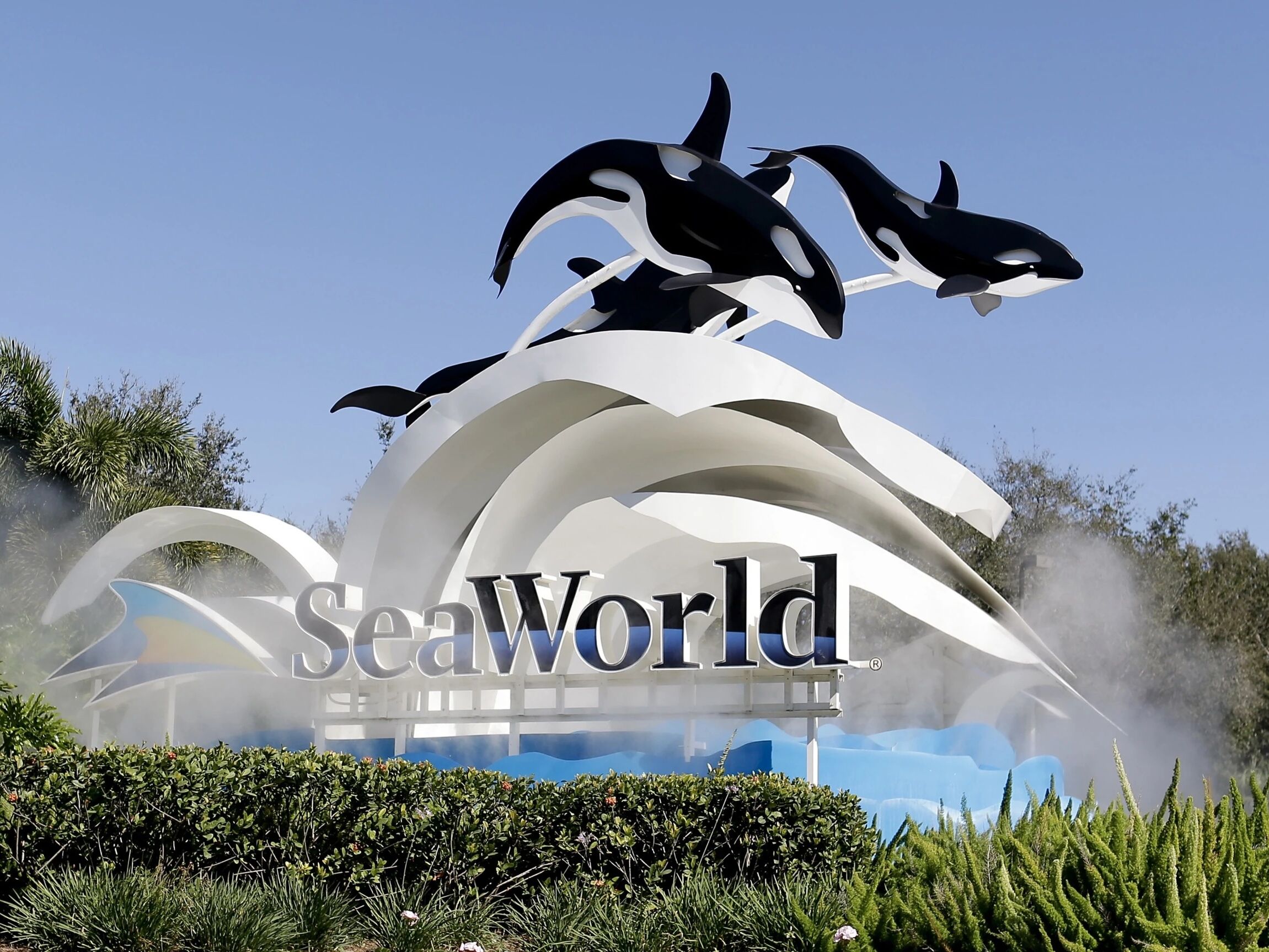 Picture of SeaWorld Orlando