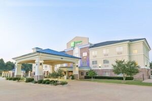 Picture of Holiday Inn Express Palestine an IHG Hotel