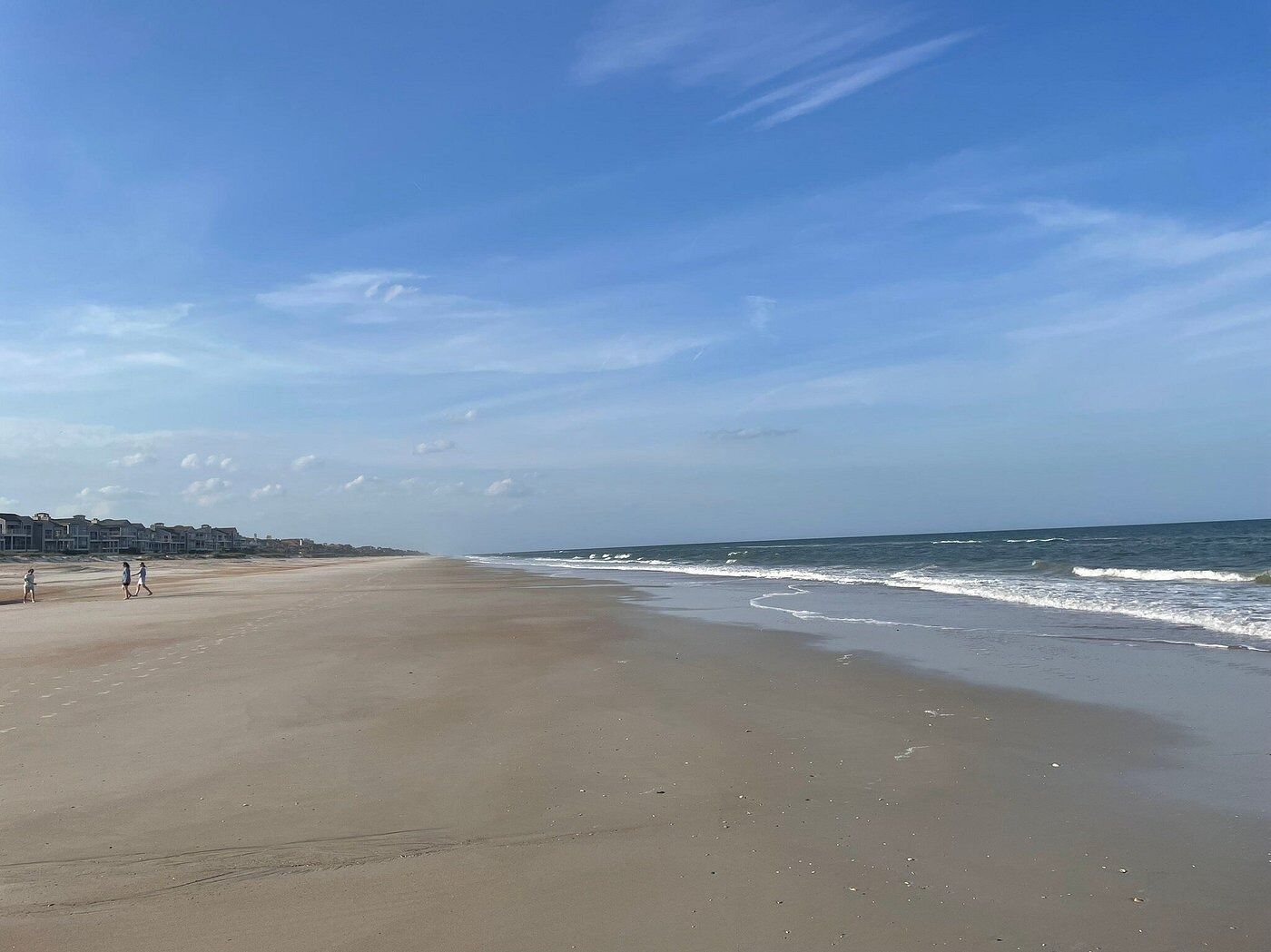 Picture of Searching for Shark Teeth at Mickler Beach