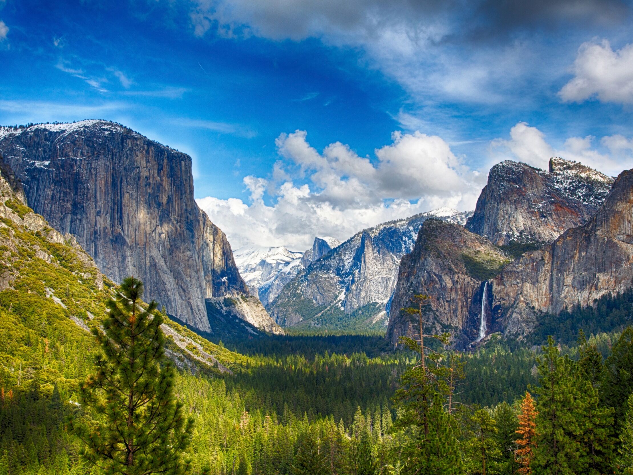 Picture of Yosemite National Park