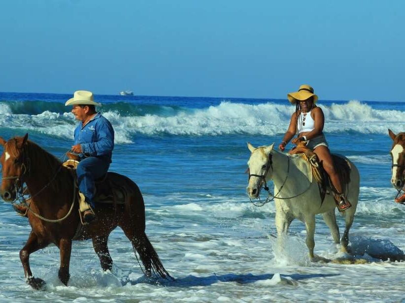 Picture of Punta de mita