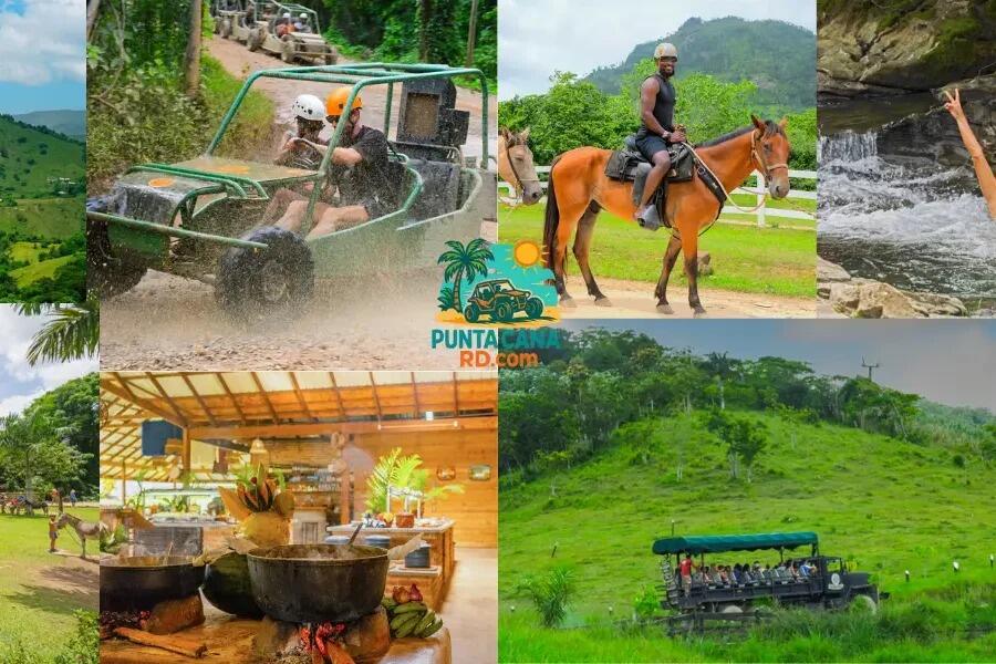 Picture of Tours & Excursions