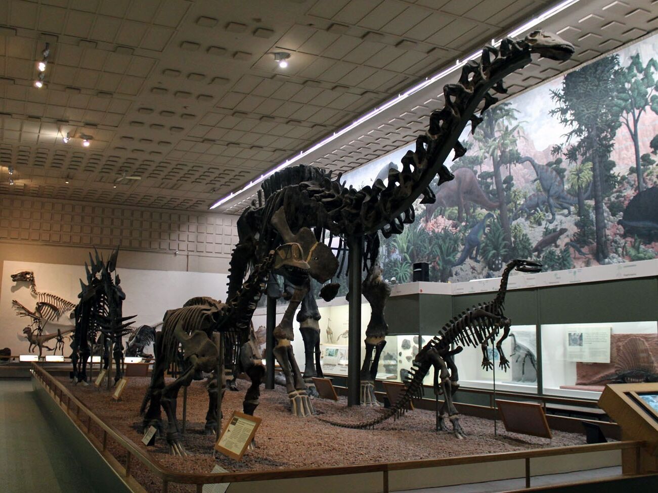 Picture of Yale Peabody Museum