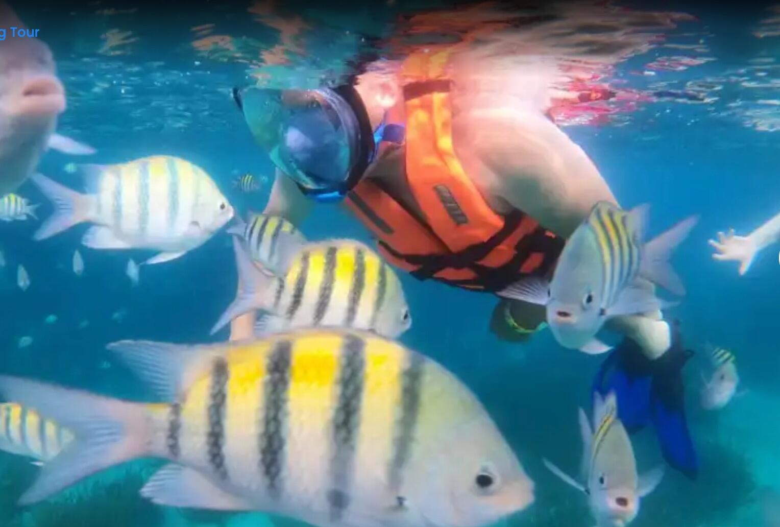 Picture of Isla Fun Tours