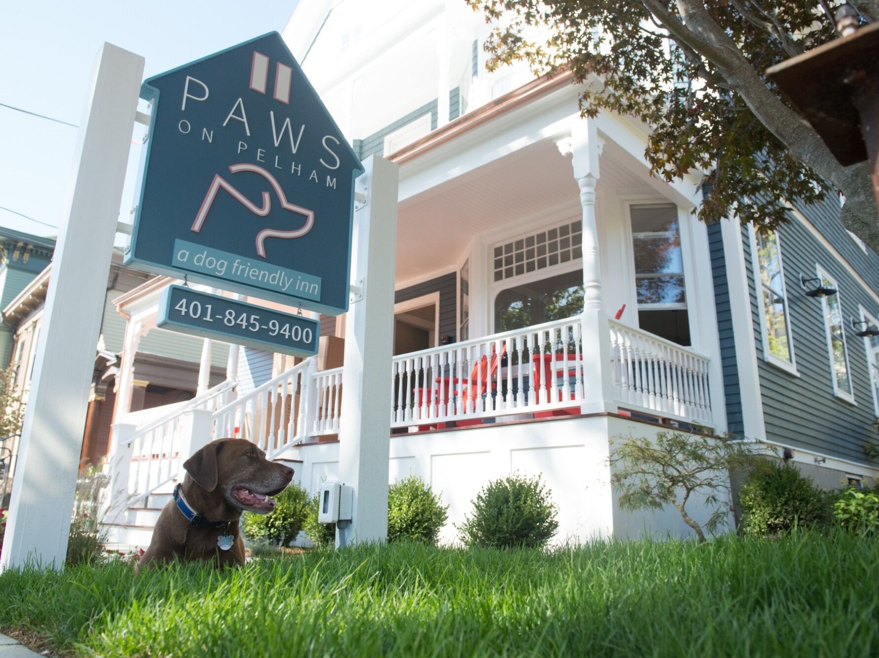 Picture of Paws on Pelham