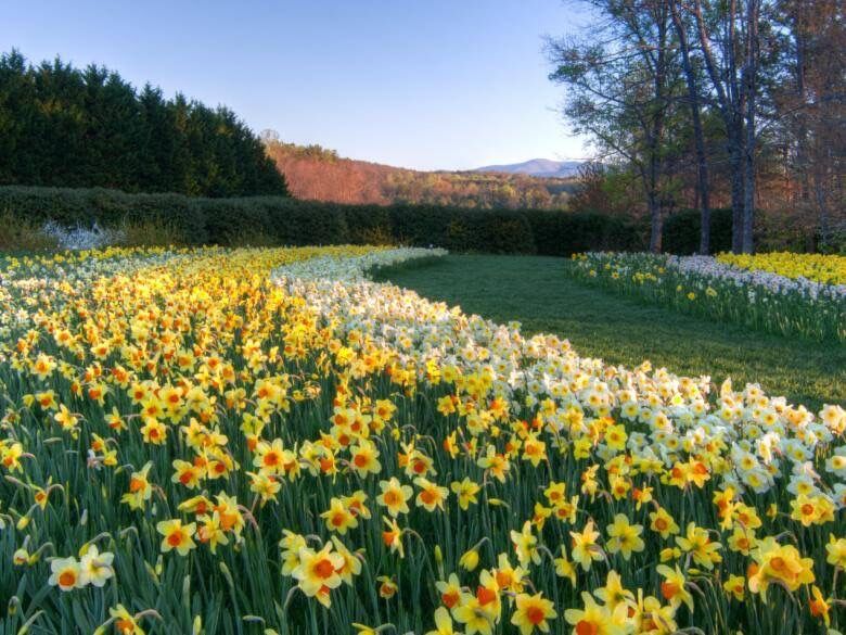 Picture of Gibbs Gardens