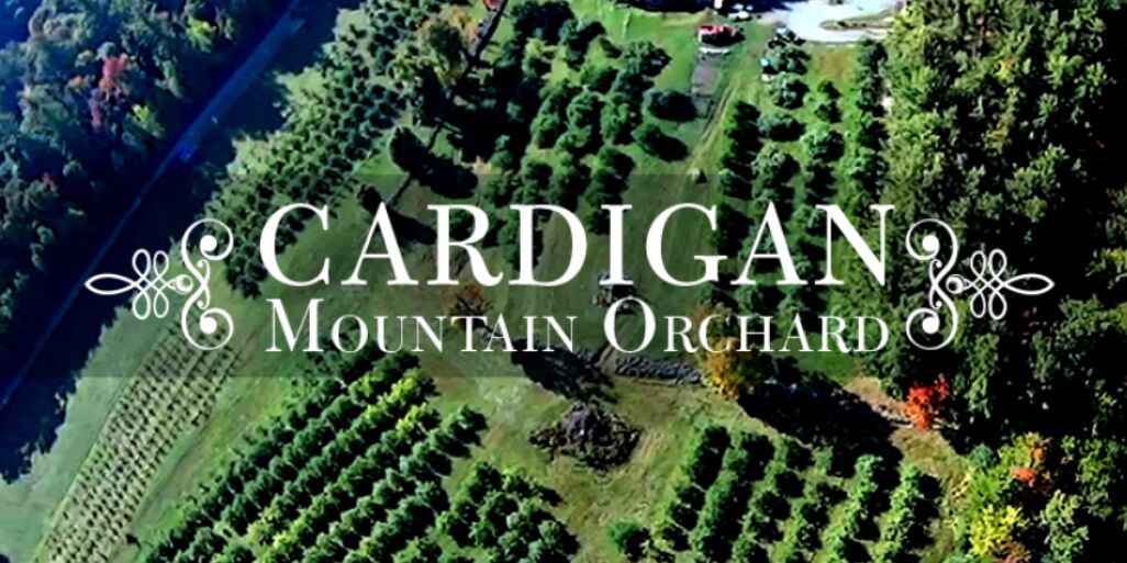 Picture of Cardigan Mountain Orchard
