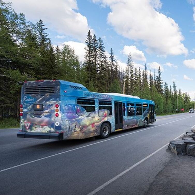 Picture of Roam Public Transit