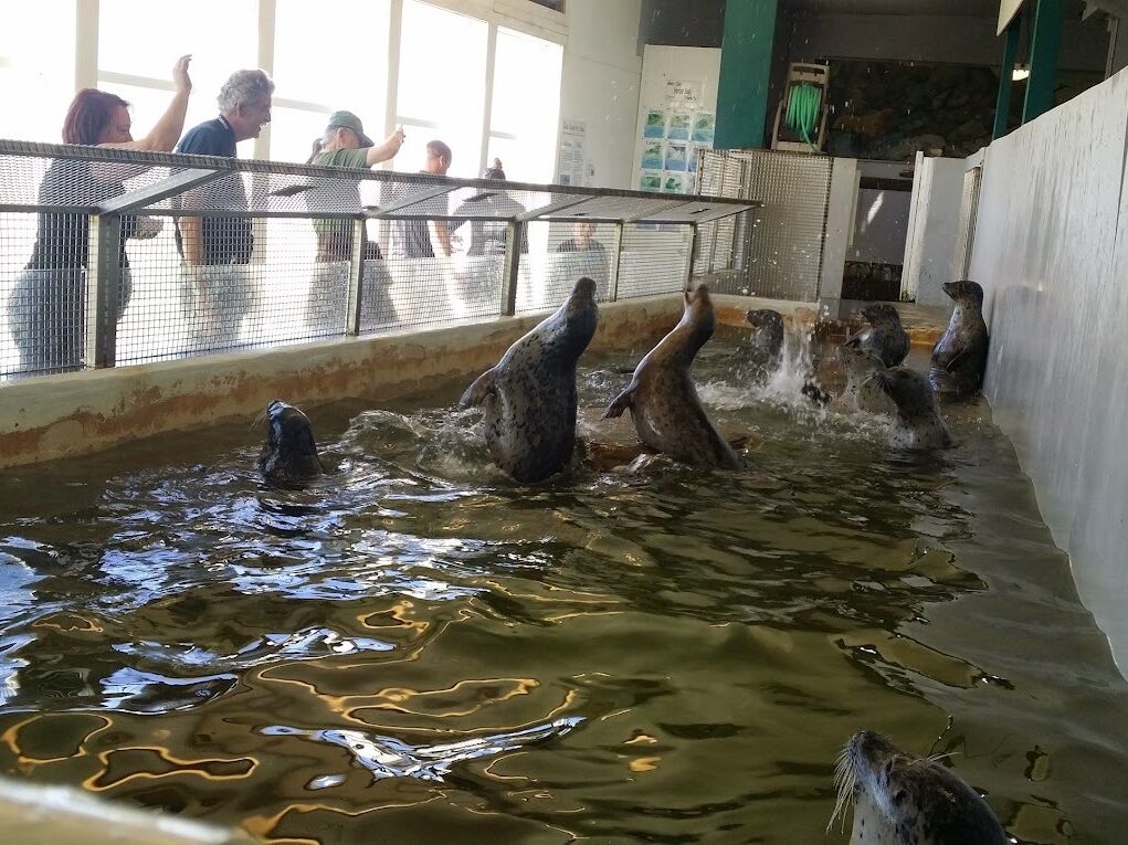Picture of Seaside Aquarium