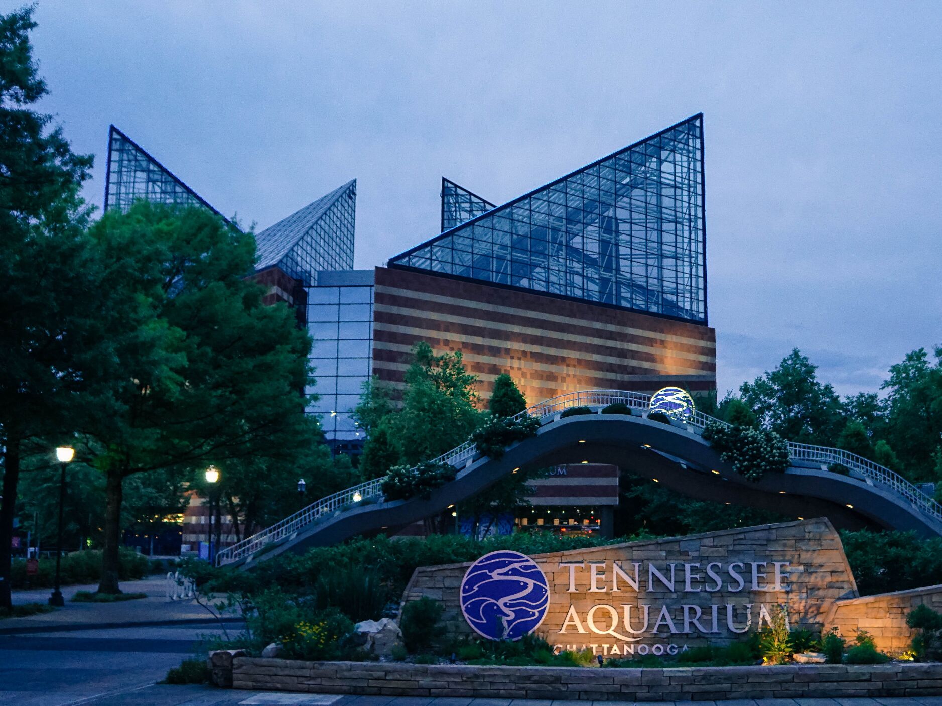 Picture of Tennessee Aquarium