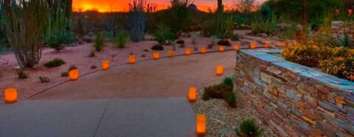 Picture of Desert Botanical Garden