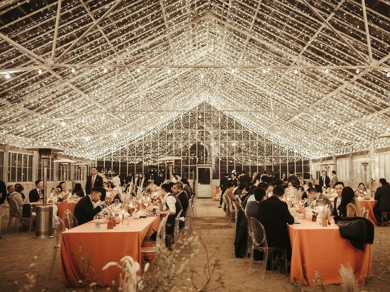 clear top wedding reception tent covered in string light strands