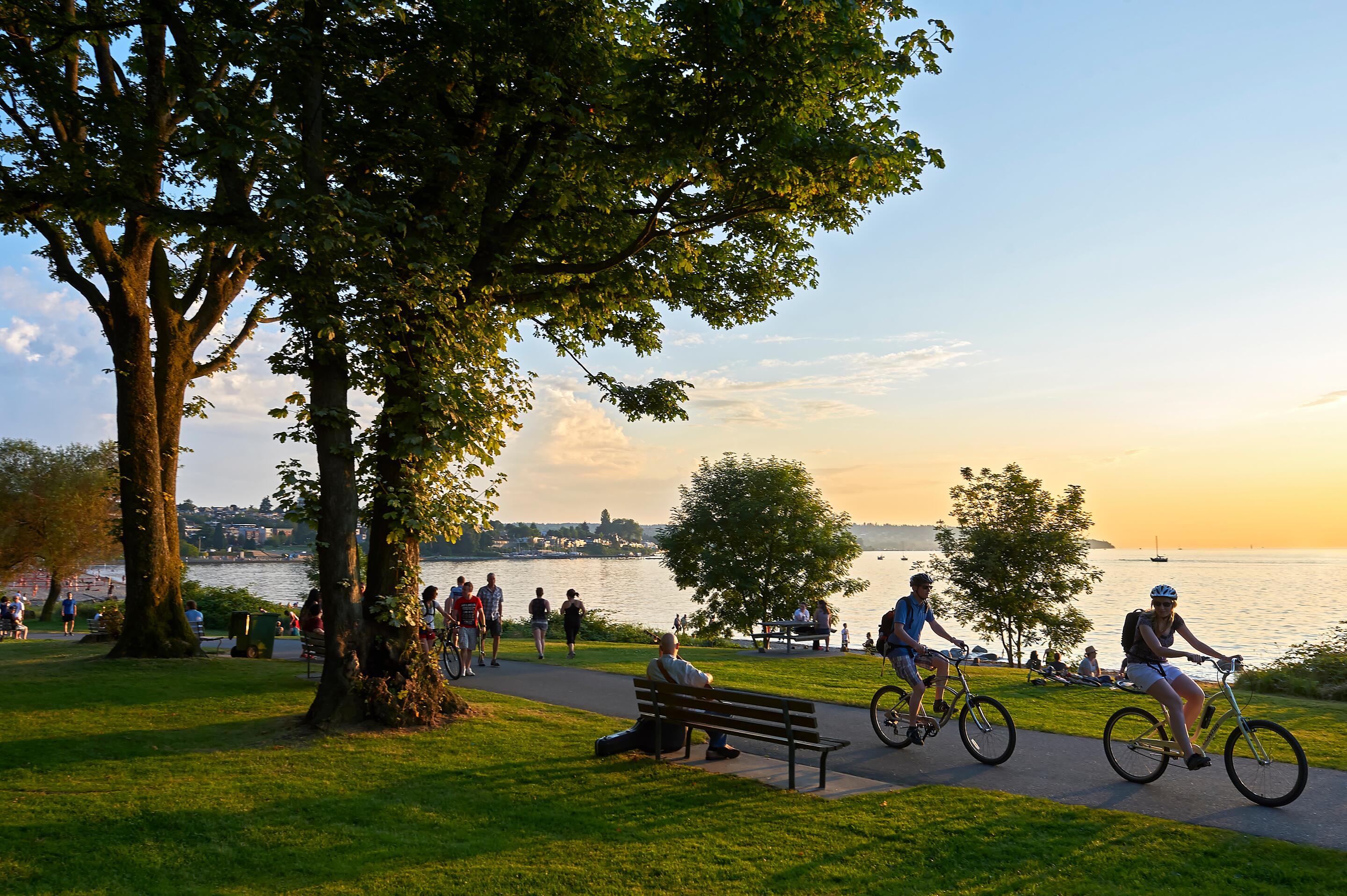 Picture of Stanley Park