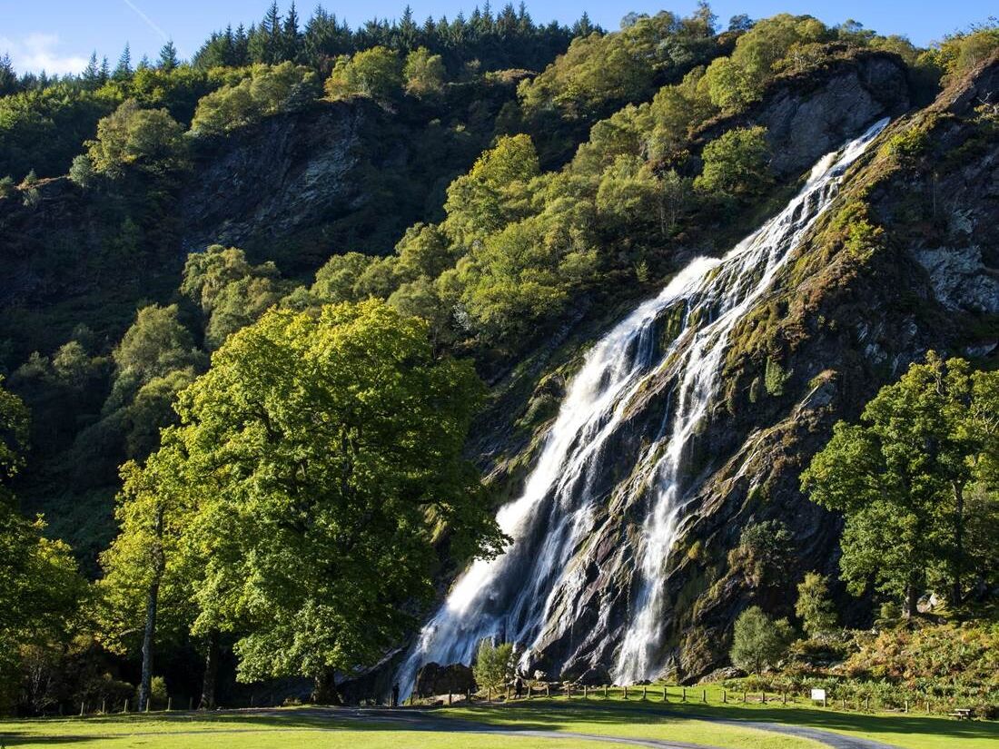Picture of Powerscourt Waterfall