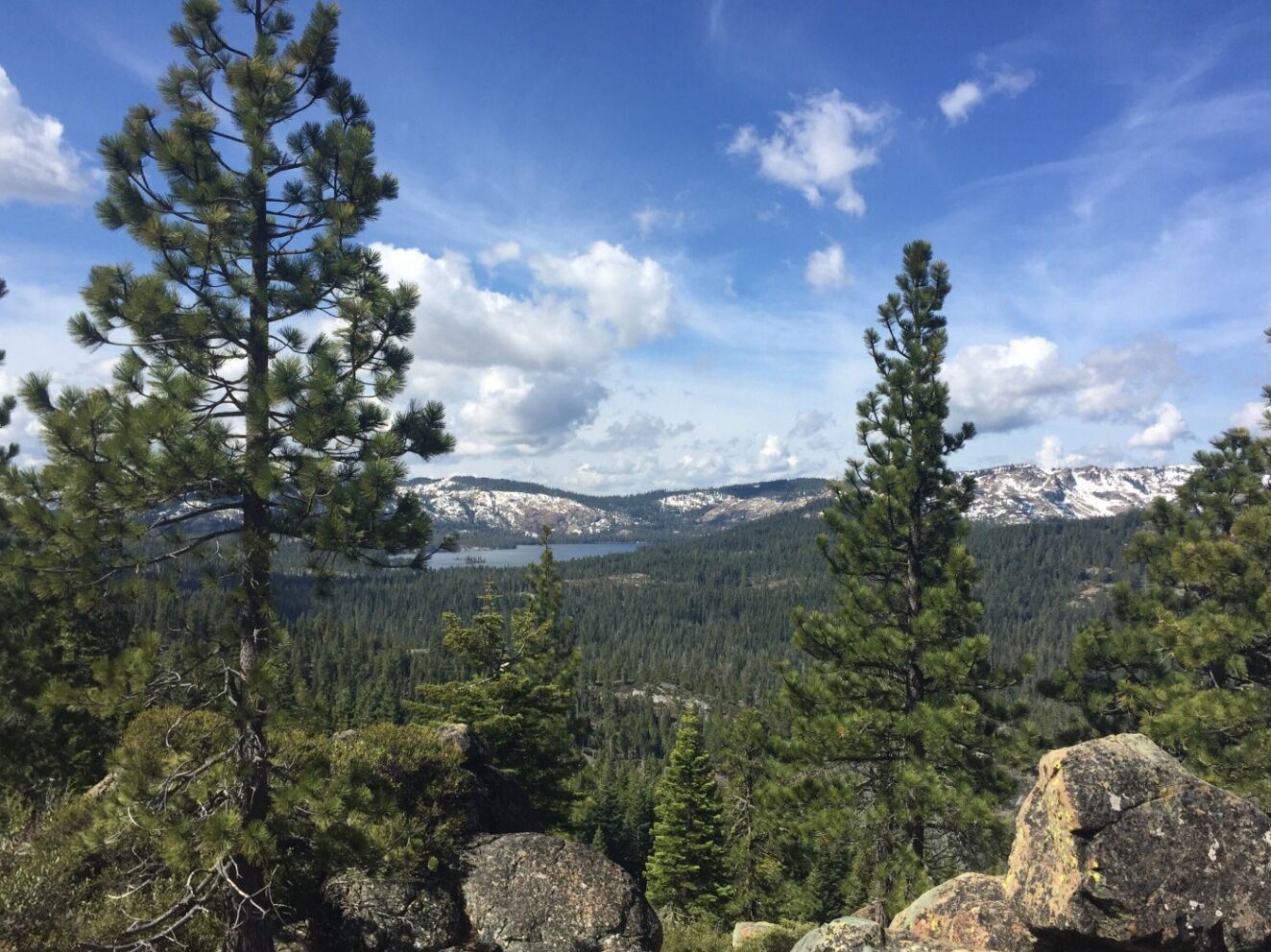 Picture of Mills Peak Trail