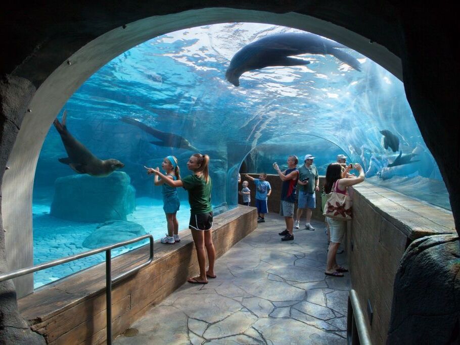 Picture of Saint Louis Zoo