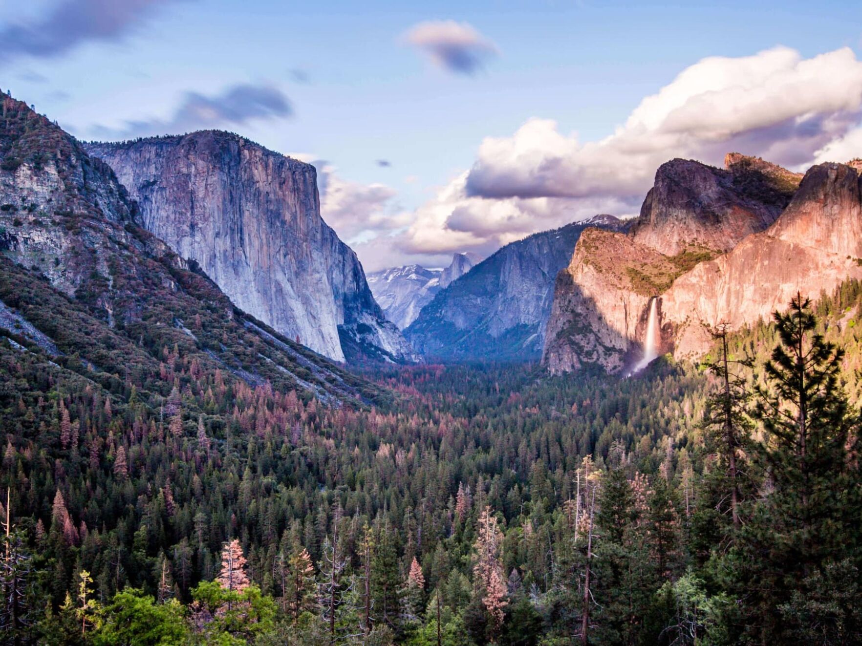 Picture of Yosemite National Park