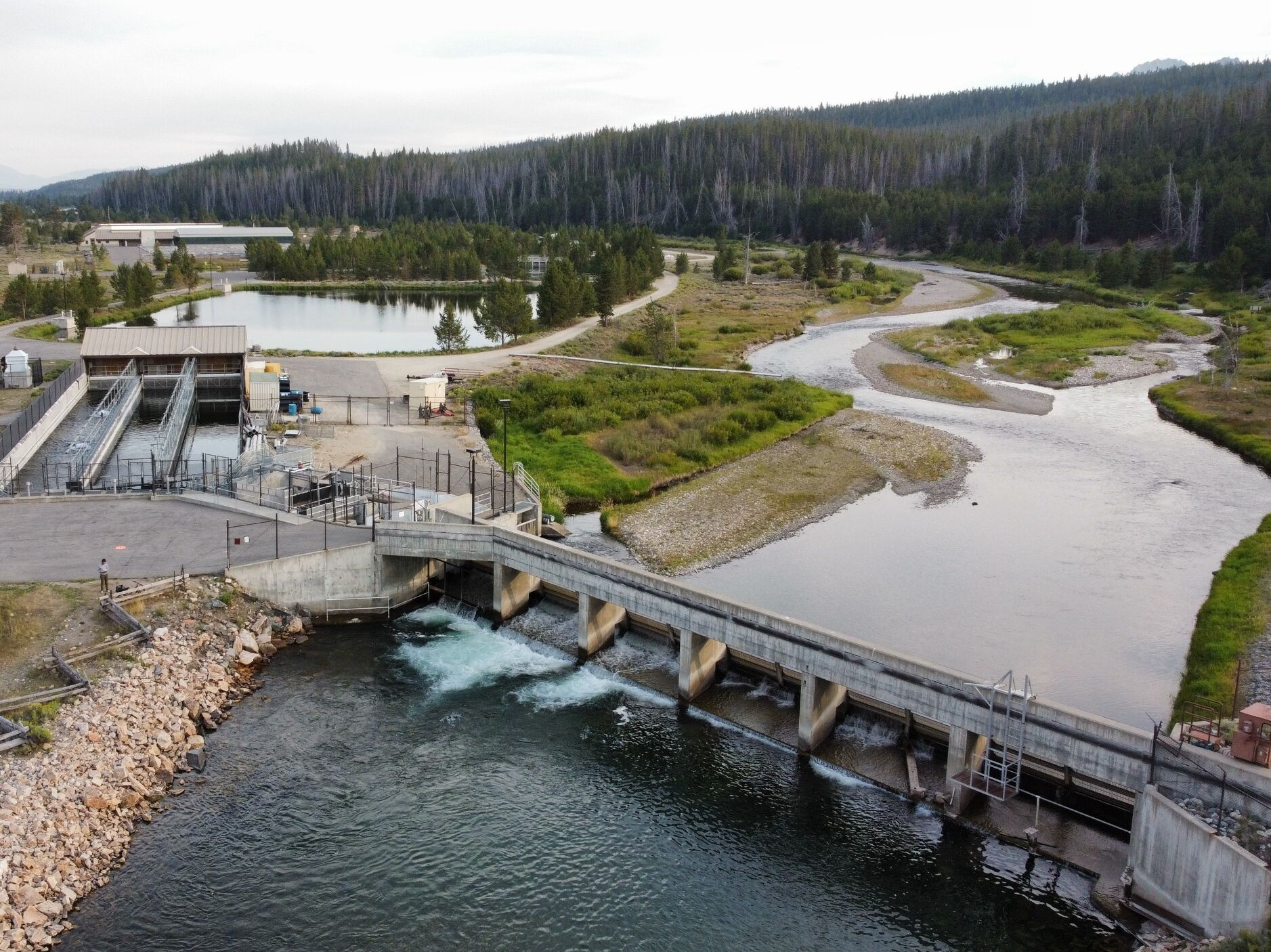 Picture of Sawtooth Hatchery - Idaho Fish and Game