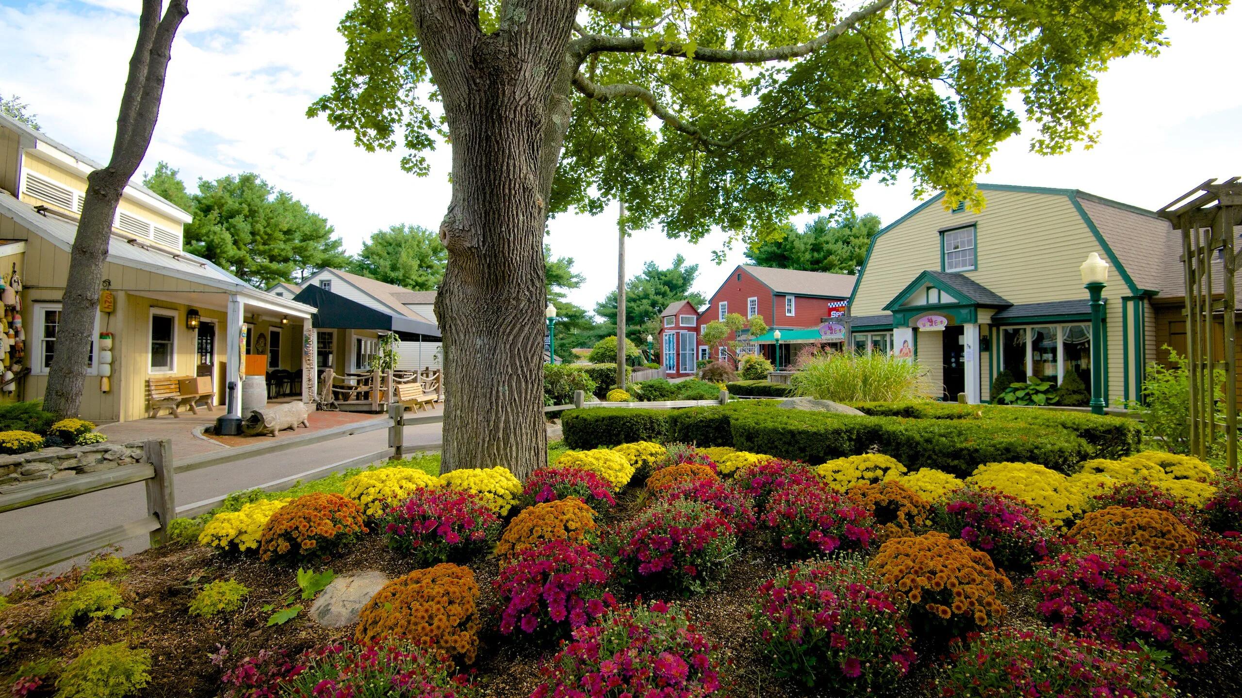 Picture of Mystic Village