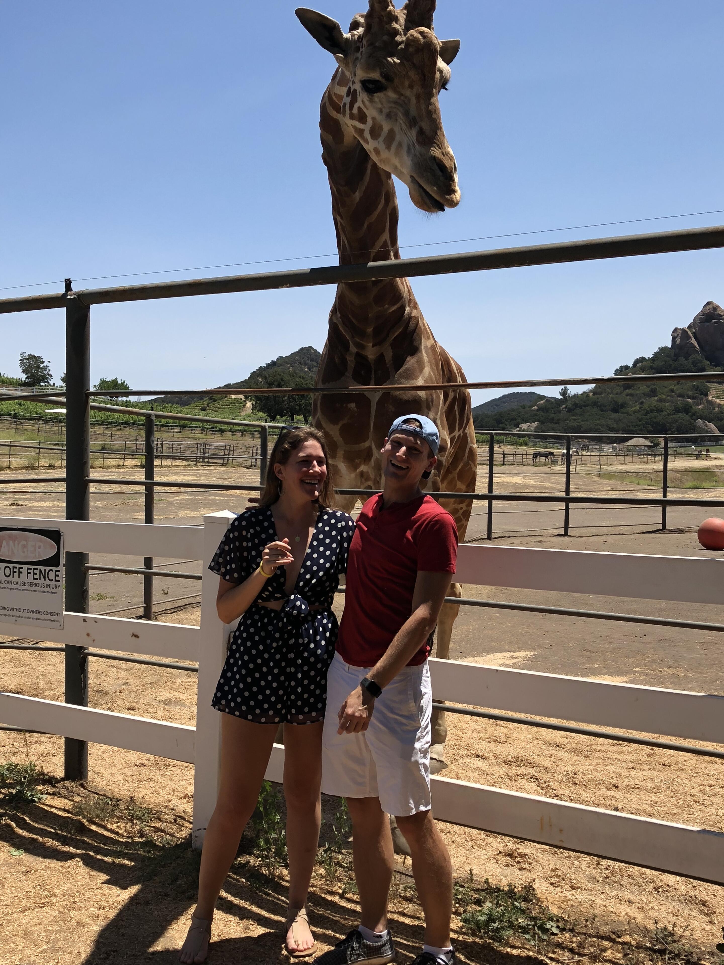 Picture of Malibu Wine Safaris